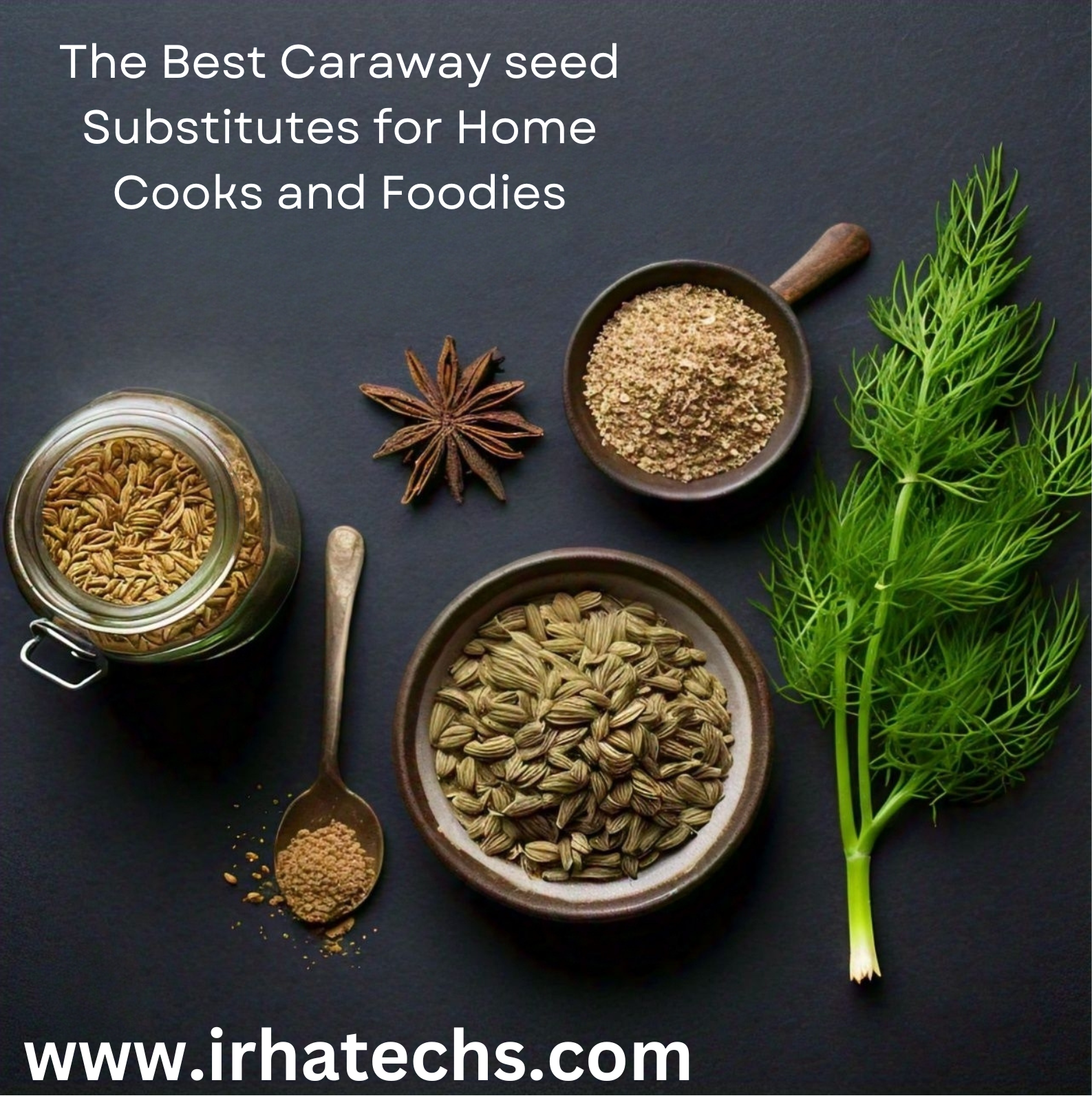 The Best Caraway seed Substitutes for Home Cooks and Foodies